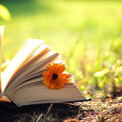 open book with flower on grass