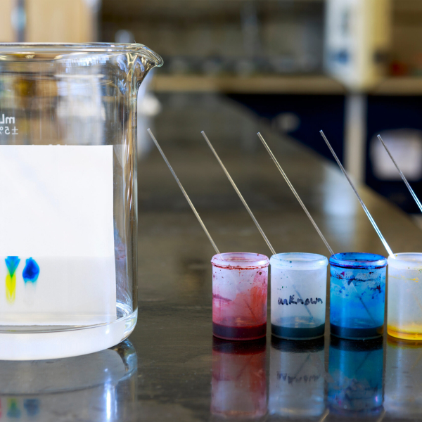 chromatography-scaled